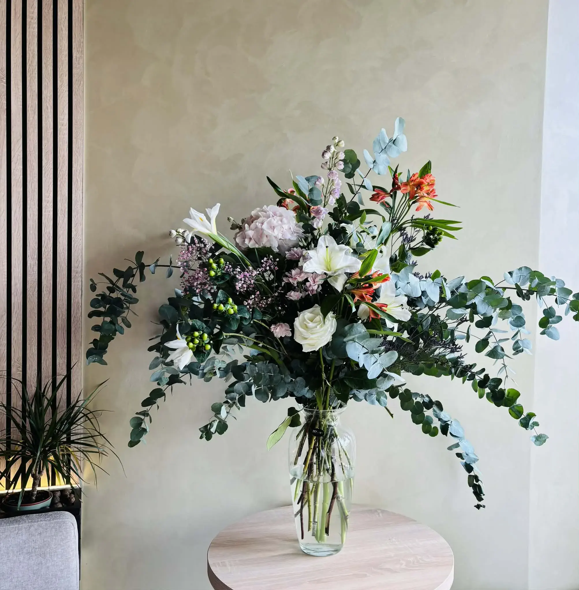 Eucalyptus Dreams